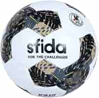 2002ブラジル代表公式試合球(JFA検定球) 選手サイン入り 2002ブラジル代表公式試合球(JFA検定球) 選手サイン入り 2002